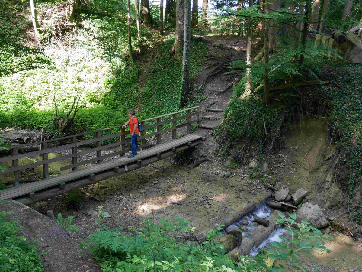 Eine schmale Holzbrücke, der sogenannte „Lochersteg“, verband schon zu Beginn des 19. Jahrhunderts die Menschen auf beiden Seiten der Leiblach. Foto: Brigitte Geiselhart