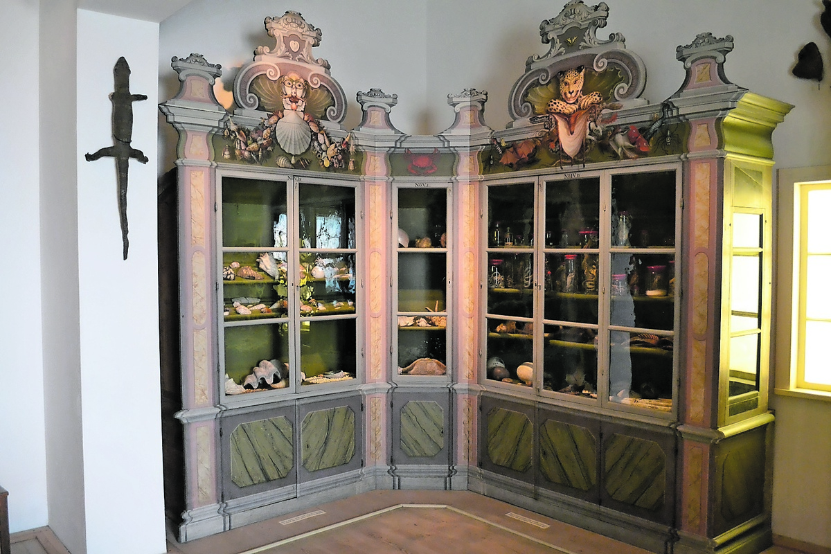 Für die Kunst- und Naturalienkammer ließen die Stiftungen spezielle Schränke anfertigen. In ihnen sind die teils kuriosen Exponate bis heute ausgestellt. (Foto: Traub)