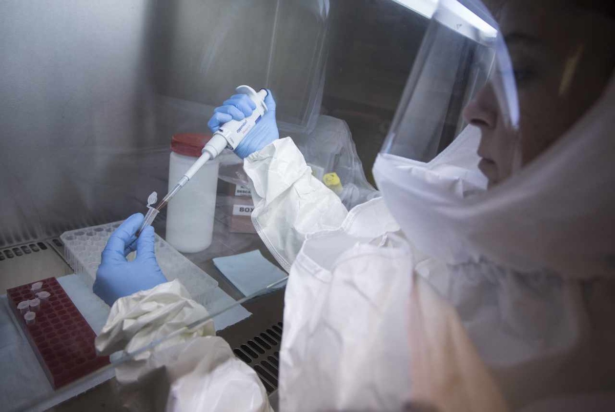 Noch immer ist der Ursprung des Coronavirus ungeklärt. Forscher arbeiten länderübergreifend an der Aufklärung, um besser auf künftige Pandemien vorbereitet zu sein. (Foto: Imago/Xinhua)