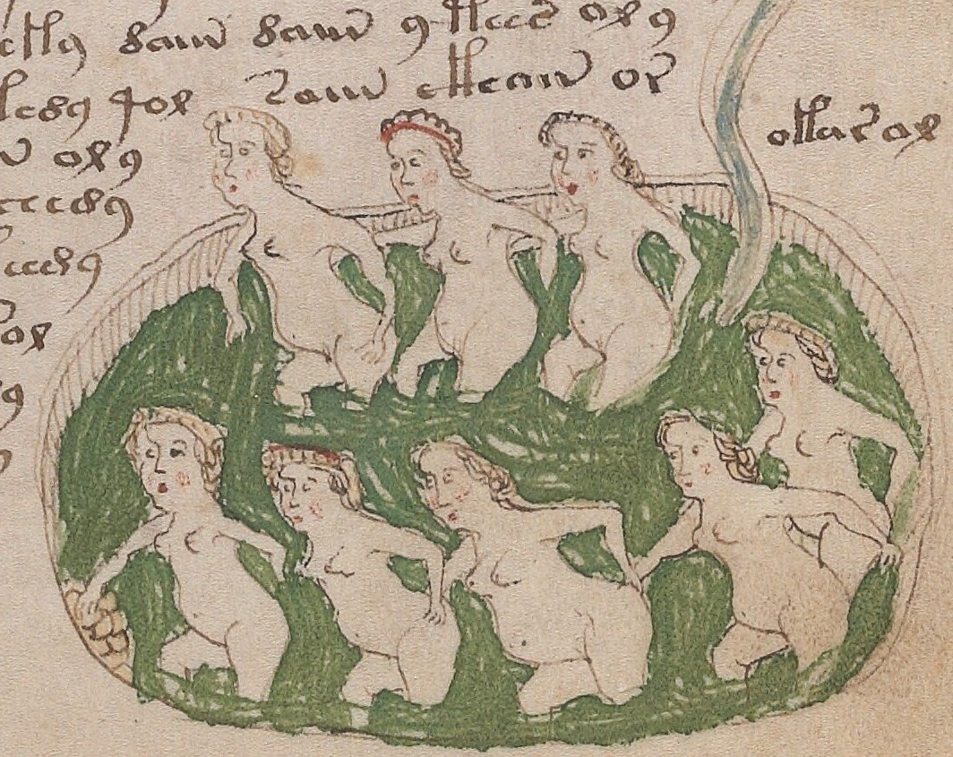Nackte Frauen, die in einer grünen Flüssigkeit baden: Eine der rätselhaften Darstellungen des Voynich-Manuskripts. (Foto: gem)