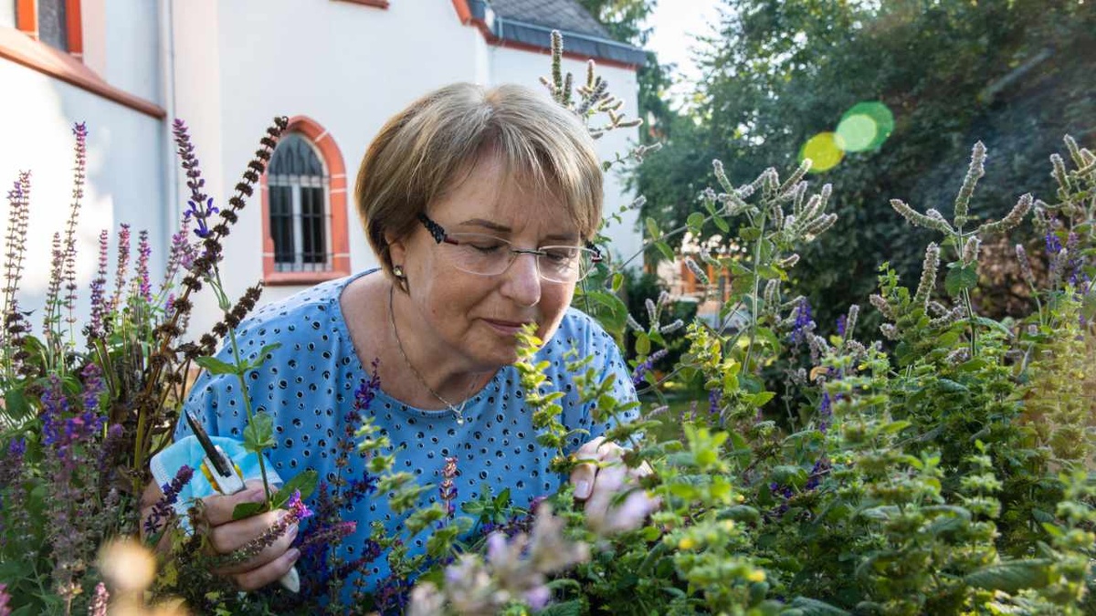 Eine Frau sammelt im Garten der Kirche Wildblumen und Kräuter für das Hochfest Mariä Himmelfahrt. (Foto: KNA)