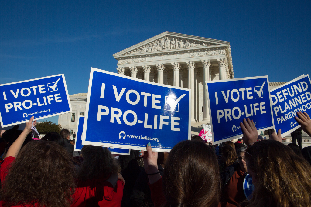 Pro-Life-Demonstranten halten Plakate mit der Aufschrift "I vote Pro-Life" beim March for Life, dem Marsch für das Leben, am 19. Januar 2019 in Washington. Im Hintergrund: der Oberste Gerichtshof der Vereinigten Staaten (U.S. Supreme Court). (Foto: KNA)