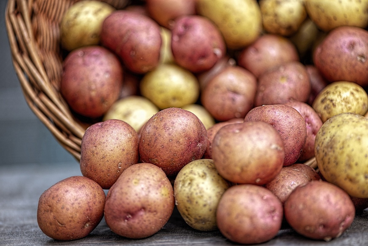 Kartoffeln. (Foto: gem)